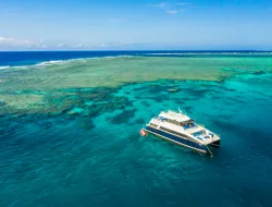 Outer Great Barrier Reef Cruise with Snorkeling & Buffet Lunch